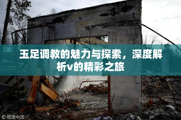 玉足调教的魅力与探索，深度解析v的精彩之旅