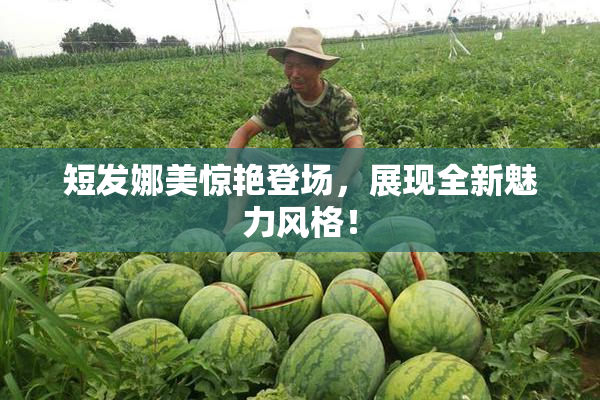 短发娜美惊艳登场，展现全新魅力风格！