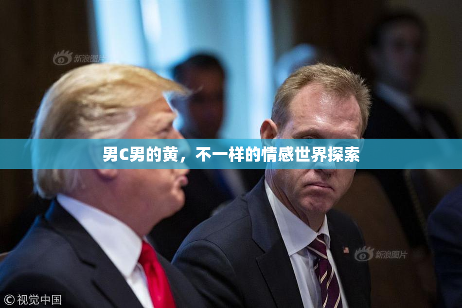 男C男的黄，不一样的情感世界探索