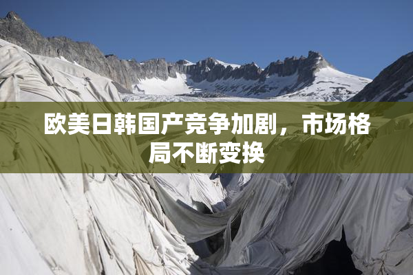 欧美日韩国产竞争加剧，市场格局不断变换