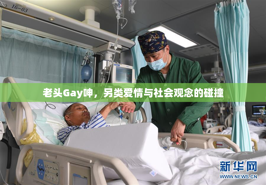 老头Gay呻，另类爱情与社会观念的碰撞