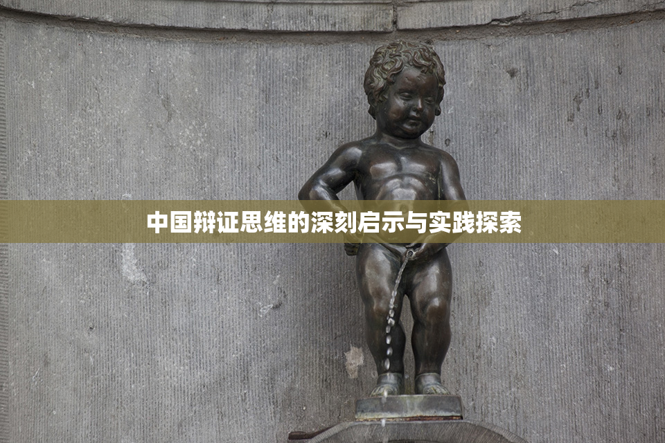 中国辩证思维的深刻启示与实践探索