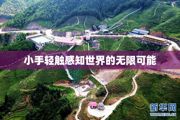 小手轻触感知世界的无限可能