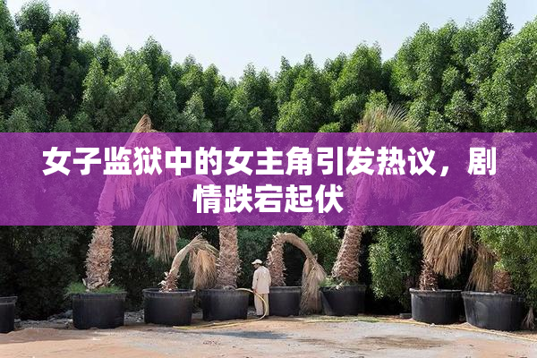 女子监狱中的女主角引发热议，剧情跌宕起伏