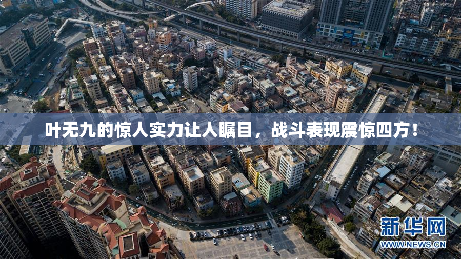 叶无九的惊人实力让人瞩目，战斗表现震惊四方！