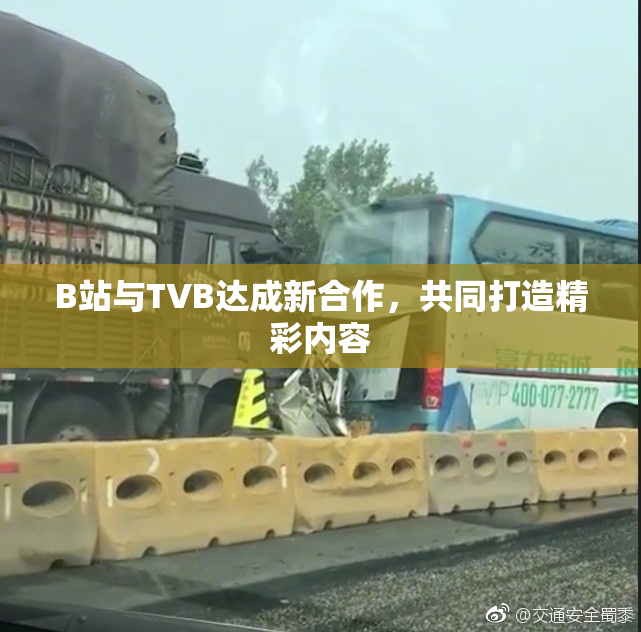 B站与TVB达成新合作，共同打造精彩内容