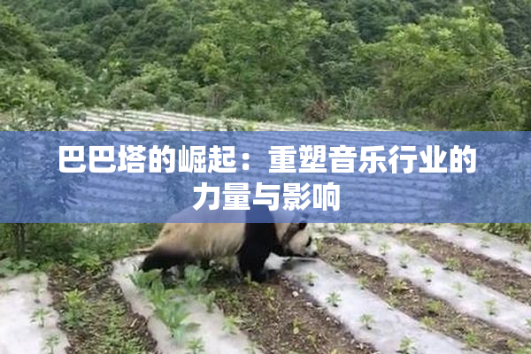 巴巴塔的崛起：重塑音乐行业的力量与影响