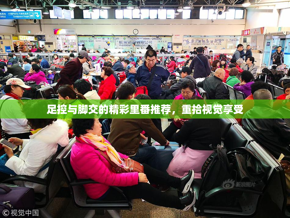 足控与脚交的精彩里番推荐，重拾视觉享受