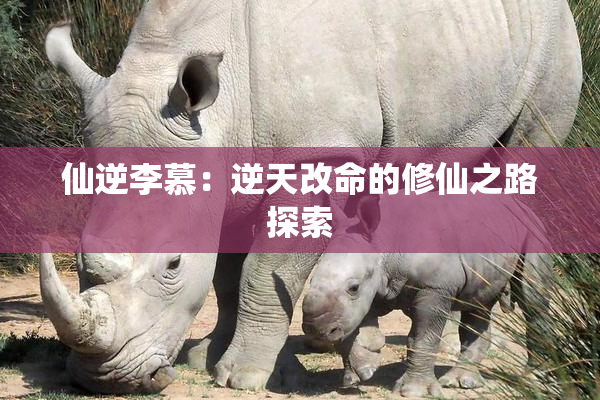 仙逆李慕：逆天改命的修仙之路探索