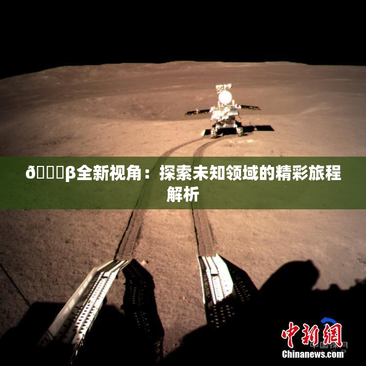 👙β全新视角：探索未知领域的精彩旅程解析