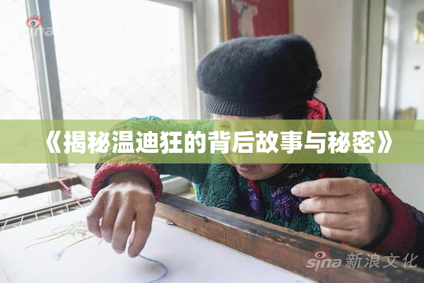 《揭秘温迪狂的背后故事与秘密》