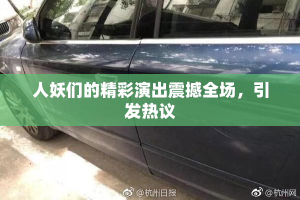 人妖们的精彩演出震撼全场，引发热议