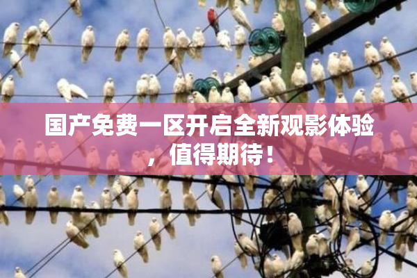国产免费一区开启全新观影体验，值得期待！