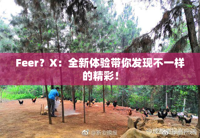 Feer？X：全新体验带你发现不一样的精彩！