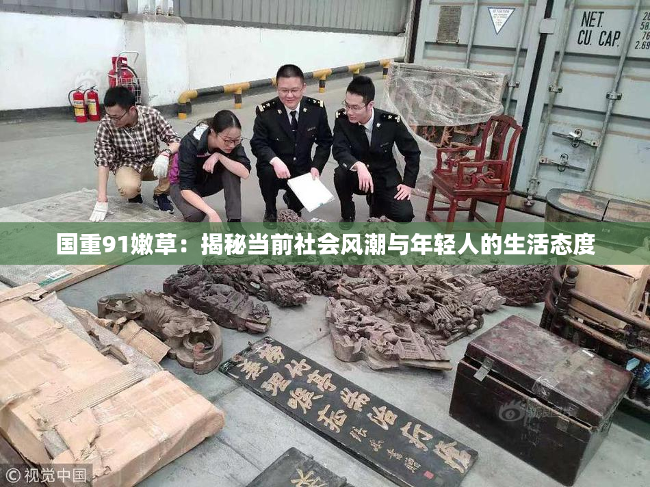 国重91嫩草：揭秘当前社会风潮与年轻人的生活态度