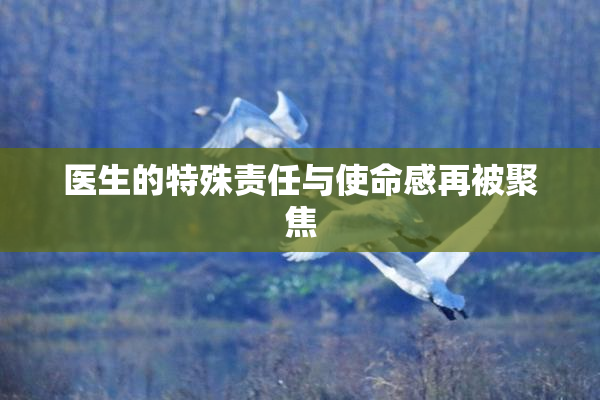 医生的特殊责任与使命感再被聚焦
