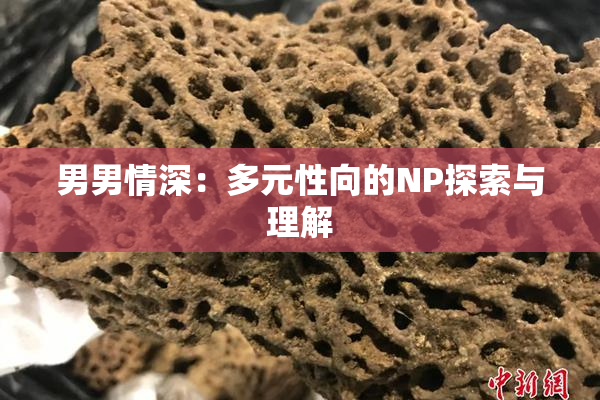 男男情深：多元性向的NP探索与理解
