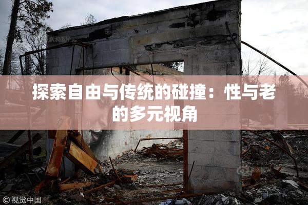 探索自由与传统的碰撞：性与老的多元视角