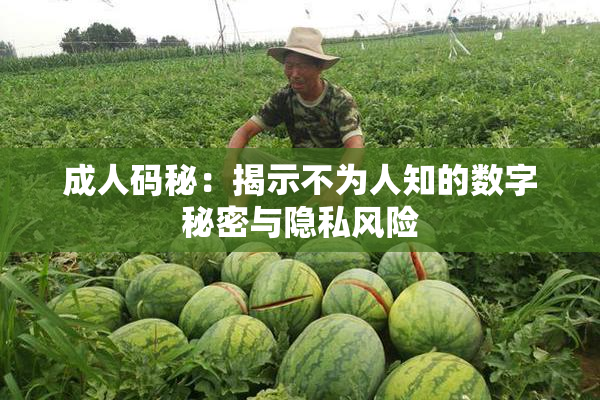 成人码秘：揭示不为人知的数字秘密与隐私风险