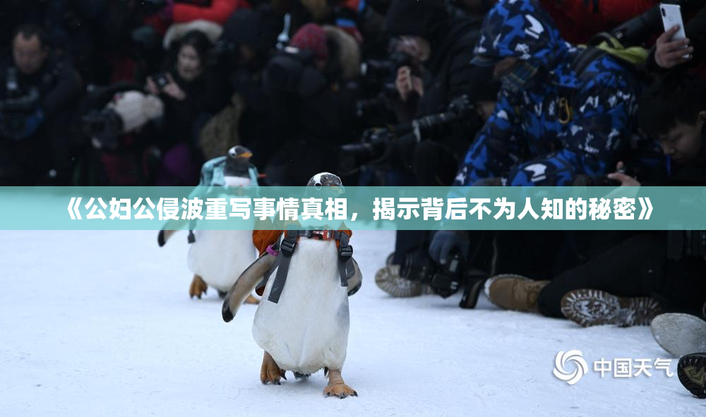 《公妇公侵波重写事情真相，揭示背后不为人知的秘密》