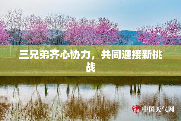 三兄弟齐心协力，共同迎接新挑战