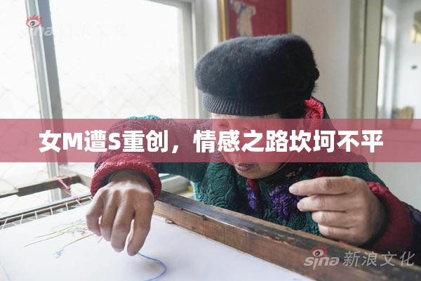 女M遭S重创，情感之路坎坷不平