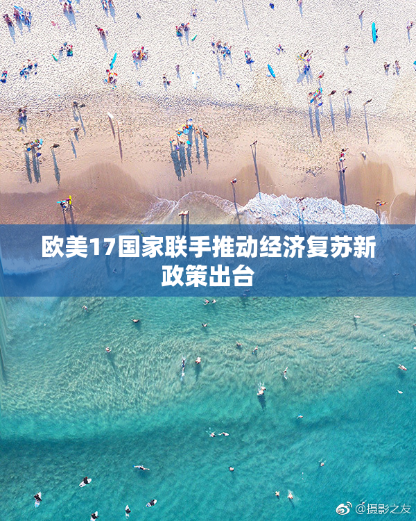 欧美17国家联手推动经济复苏新政策出台