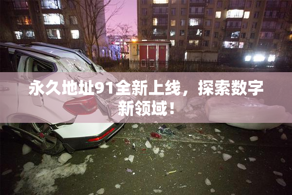 永久地址91全新上线，探索数字新领域！