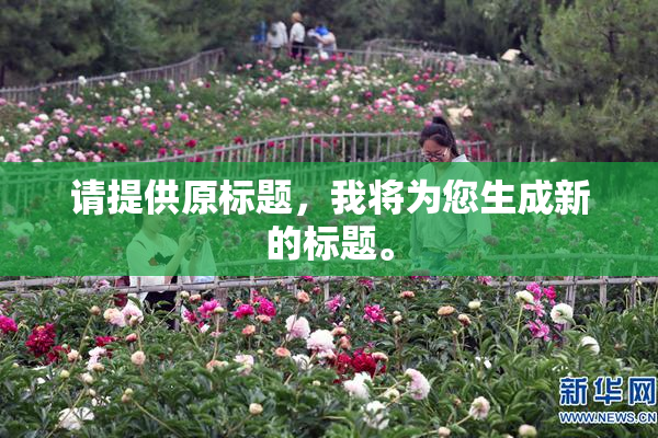 请提供原标题，我将为您生成新的标题。