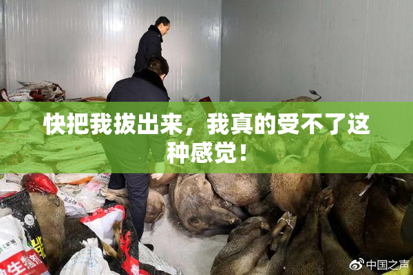 快把我拔出来，我真的受不了这种感觉！