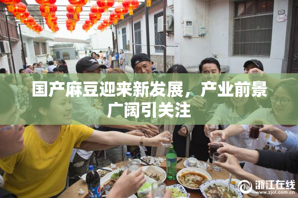 国产麻豆迎来新发展，产业前景广阔引关注