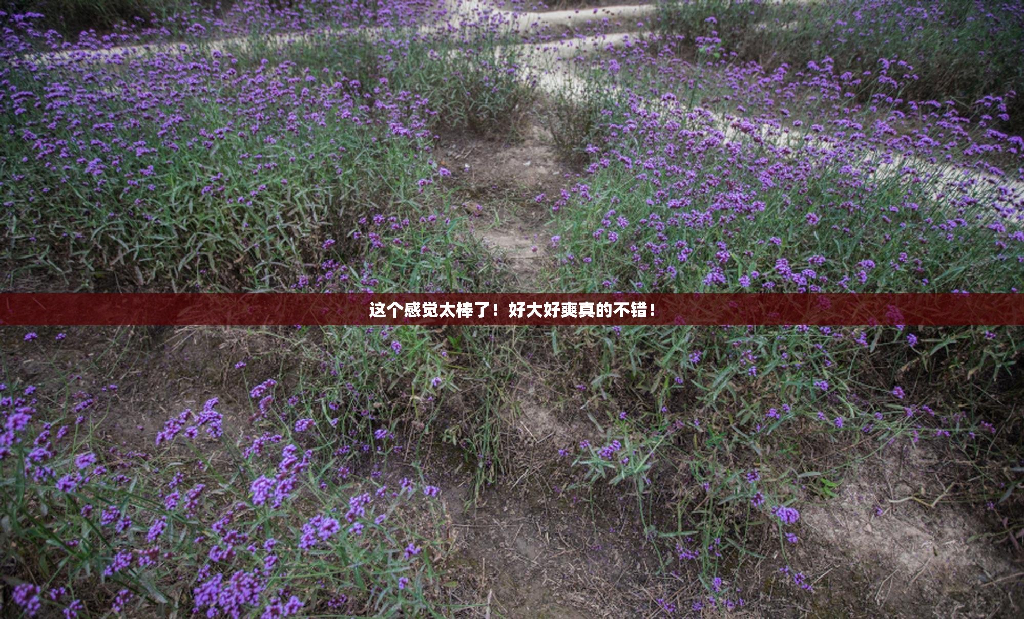 这个感觉太棒了！好大好爽真的不错！
