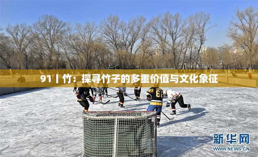 91丨竹：探寻竹子的多重价值与文化象征