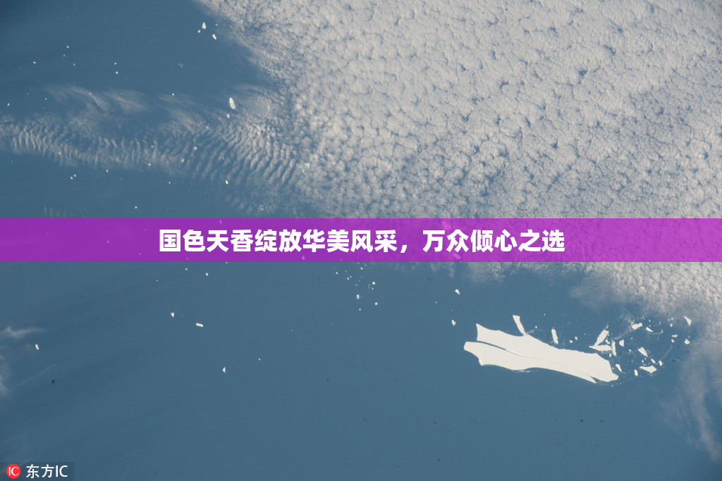 国色天香绽放华美风采，万众倾心之选