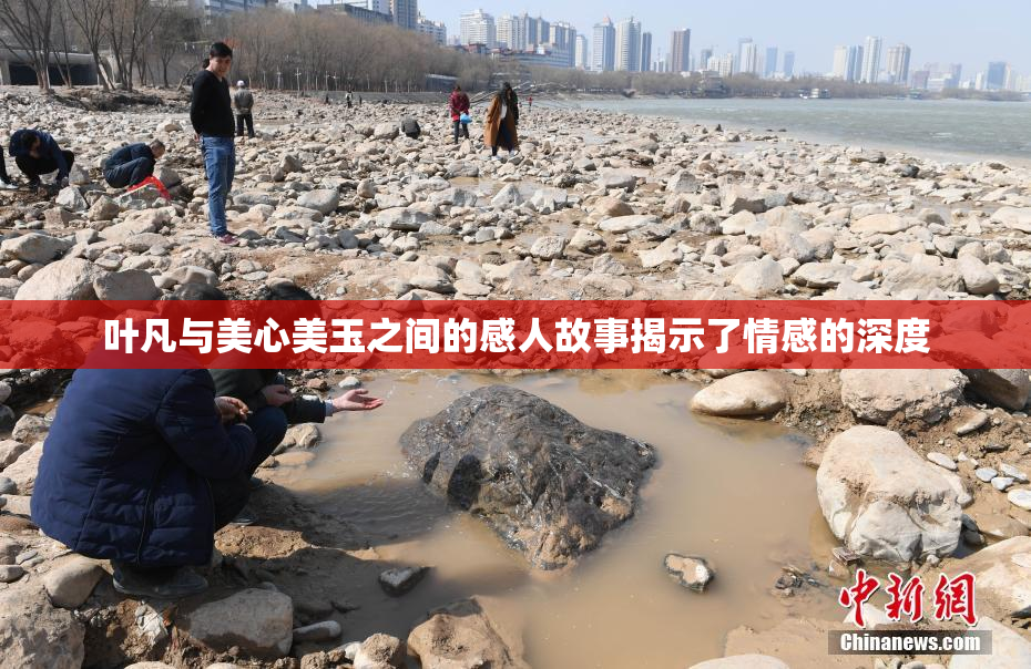 叶凡与美心美玉之间的感人故事揭示了情感的深度