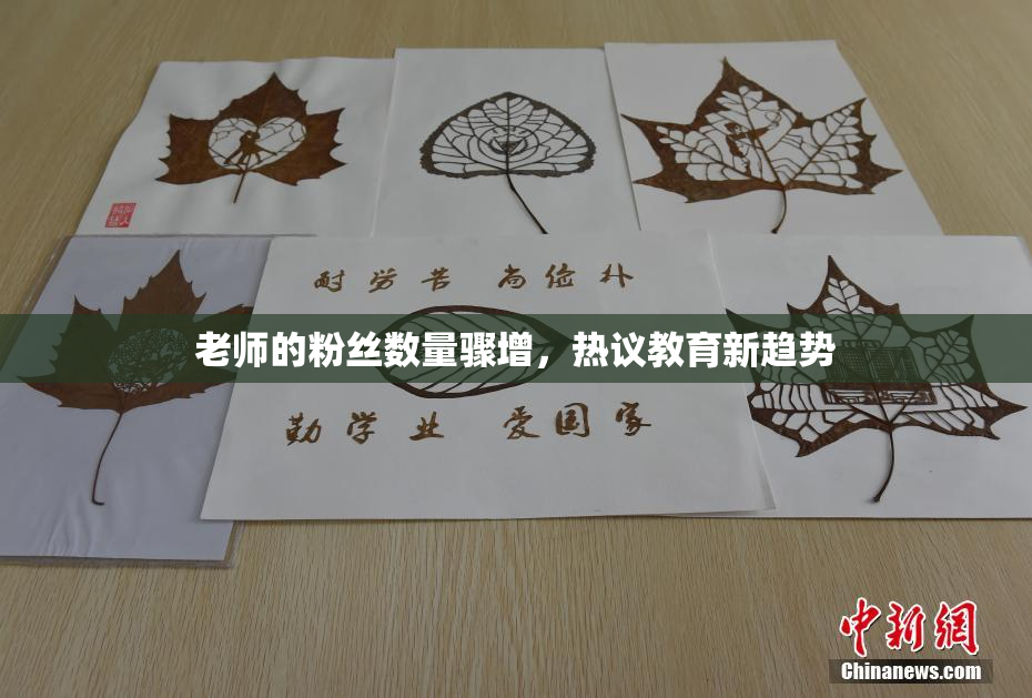 老师的粉丝数量骤增，热议教育新趋势