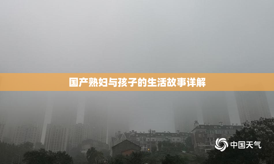 国产熟妇与孩子的生活故事详解