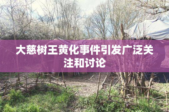 大慈树王黄化事件引发广泛关注和讨论