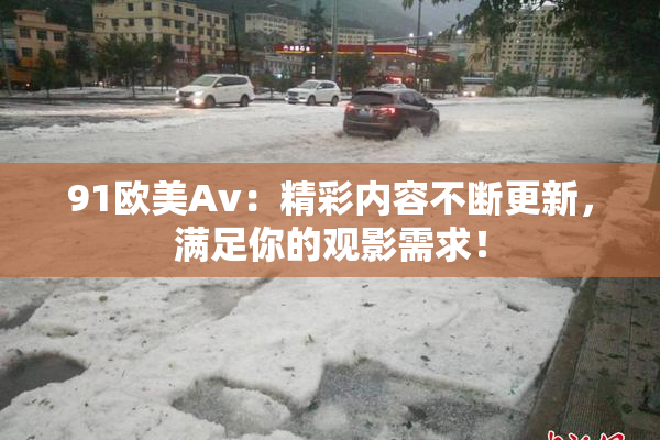 91欧美Av：精彩内容不断更新，满足你的观影需求！