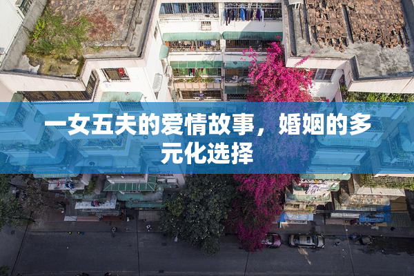 一女五夫的爱情故事，婚姻的多元化选择