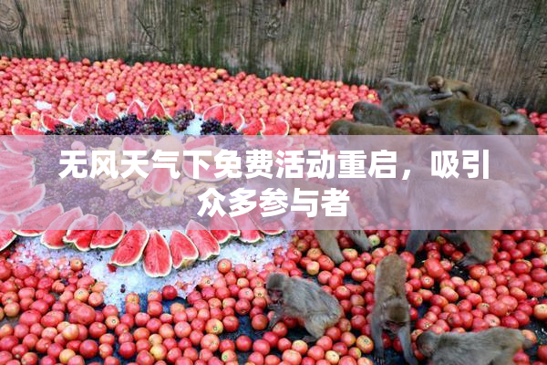 无风天气下免费活动重启，吸引众多参与者