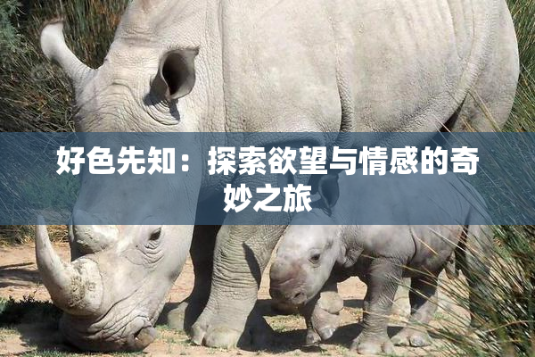 好色先知：探索欲望与情感的奇妙之旅