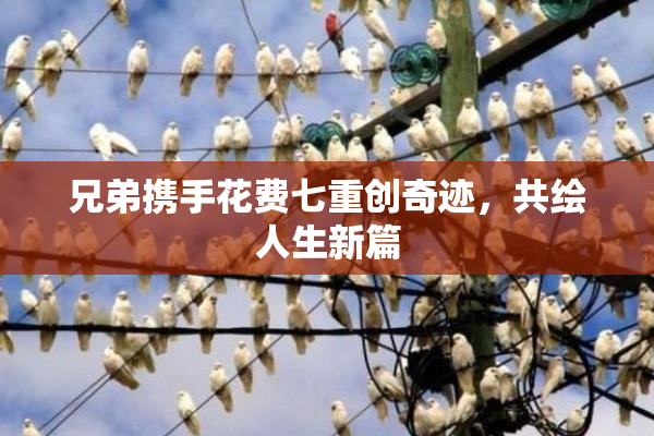 兄弟携手花费七重创奇迹，共绘人生新篇