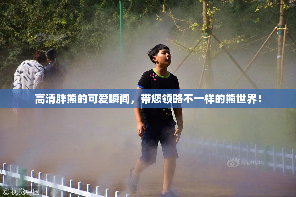 高清胖熊的可爱瞬间，带您领略不一样的熊世界！