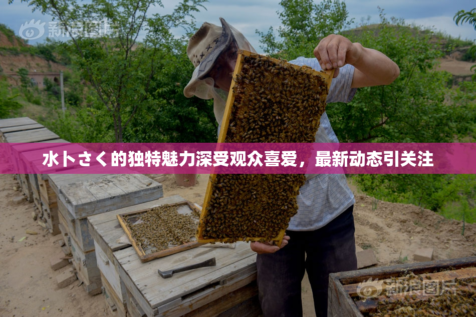 水卜さく的独特魅力深受观众喜爱，最新动态引关注