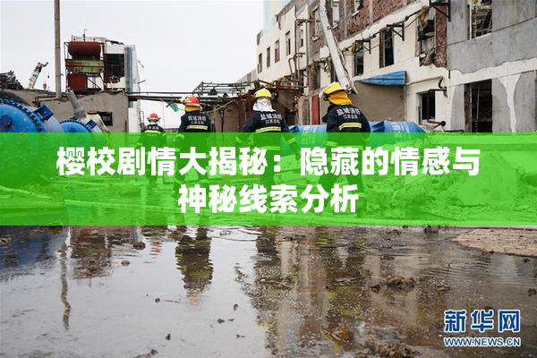 樱校剧情大揭秘：隐藏的情感与神秘线索分析