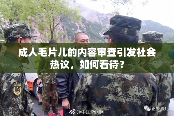 成人毛片儿的内容审查引发社会热议，如何看待？