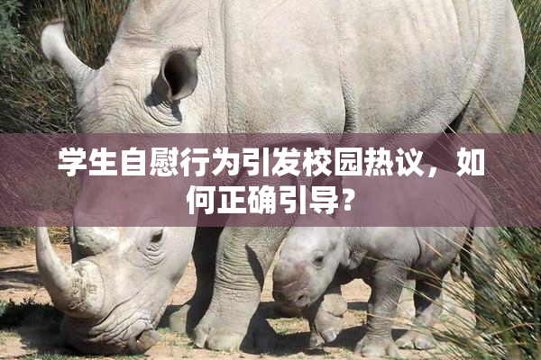学生自慰行为引发校园热议，如何正确引导？