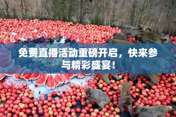 免费直播活动重磅开启，快来参与精彩盛宴！