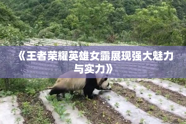 《王者荣耀英雄女露展现强大魅力与实力》